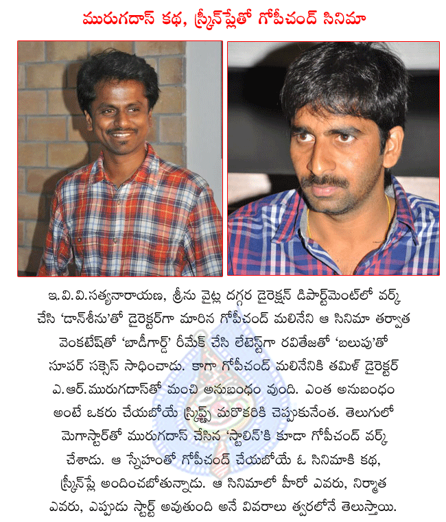 director gopichand malineni,gopichand malineni newx movie with a.r.murugadoss,murugadoss story and screenplay for gopichand malineni movie,gopichand malineni latest movie balupu,gopichand malineni and raviteja combo movie balupu,balupu stills  director gopichand malineni, gopichand malineni newx movie with a.r.murugadoss, murugadoss story and screenplay for gopichand malineni movie, gopichand malineni latest movie balupu, gopichand malineni and raviteja combo movie balupu, balupu stills